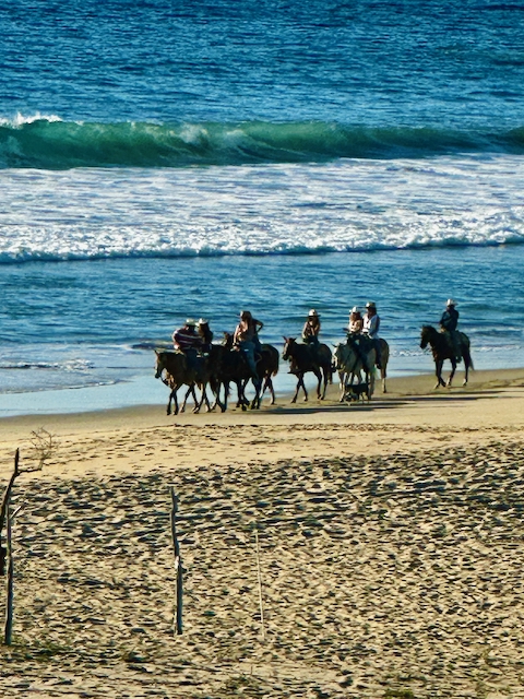 Horseback Riding on the Shore