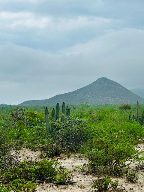 Sierra de la Laguna